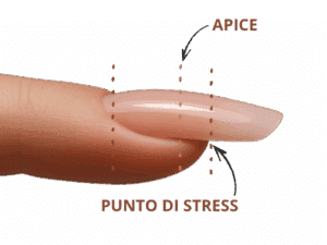 aphex unghia e punto di stress