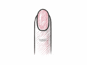 Illustrazione della forma dell’unghia rotonda, con contorno morbido e punta arrotondata, colorata in rosa
