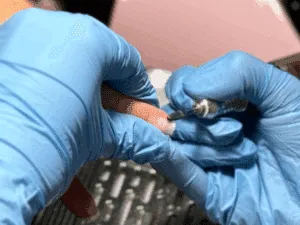 Operatrice con guanti blu che utilizza una punta fresa per sollevare e pulire le cuticole durante una manicure russa a secco.