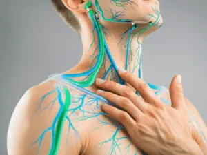 Sistema linfatico spiegato per comprendere il linfodrenaggio Illustrazione anatomica del sistema linfatico nel collo e nel torace, utile per comprendere il linfodrenaggio cos’è, il significato del drenaggio linfatico e come funziona la circolazione linfatica.