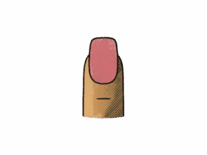 Disegno illustrato di un’unghia squoval, una forma che combina linee quadrate e bordi arrotondati, realizzata in stile sketch con tonalità naturali rosa e beige.