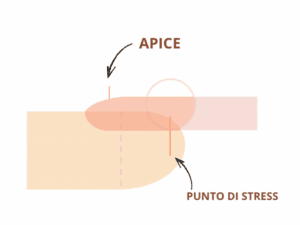 unghia balance point
