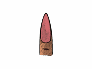 Illustrazione della forma dell’unghia a stiletto, lunga e affusolata, con tratteggio color rosa e bordi neri.